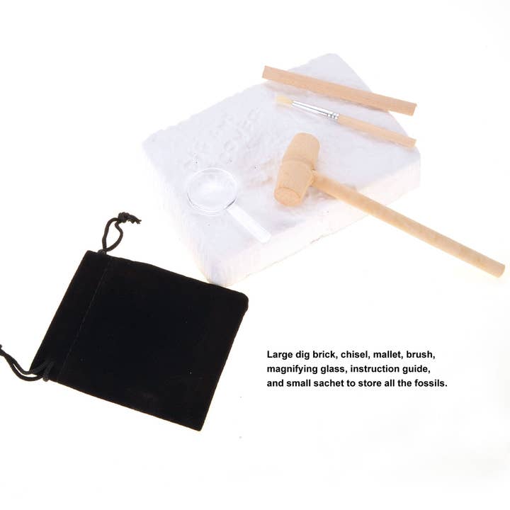 AZ Trading & Import (Toys, RC Toys & More) - Wholesale Toy Set - Kids - Fossile Dig Kit11