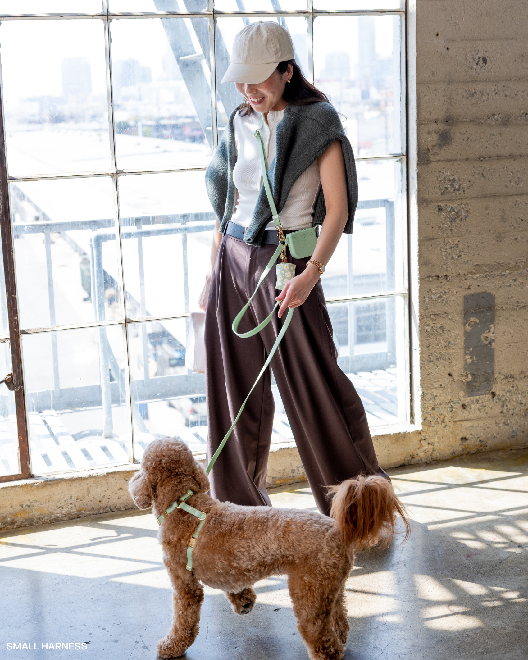 SUNNY TAILS - Wholesale Pet Leash - Dog - Pistachio Green 4-in-1 Convertible Hands Free Dog Leash4