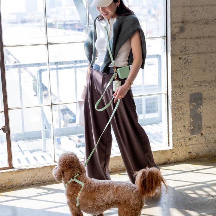 SUNNY TAILS - Wholesale Pet Leash - Dog - Pistachio Green 4-in-1 Convertible Hands Free Dog Leash4