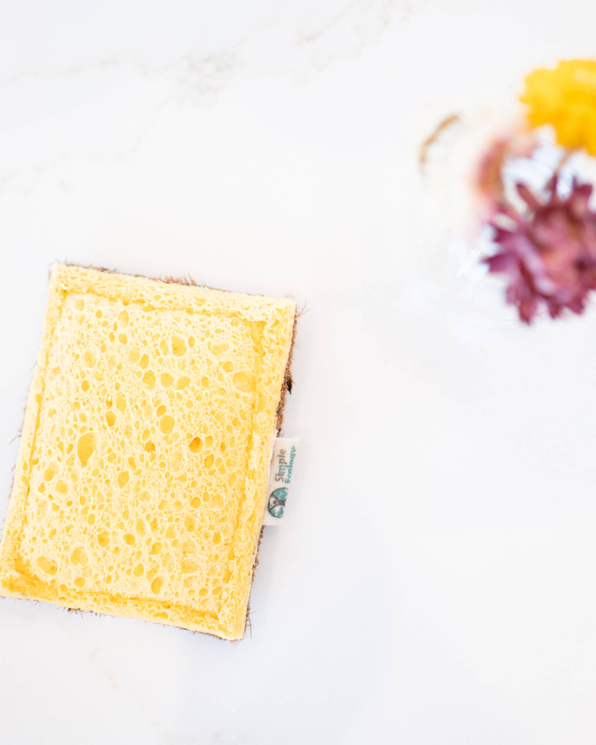 Simple Ecology - Wholesale Cleaning Sponge - Cellulose Dish Sponge with Coconut Scrubber - Simple Ecology1