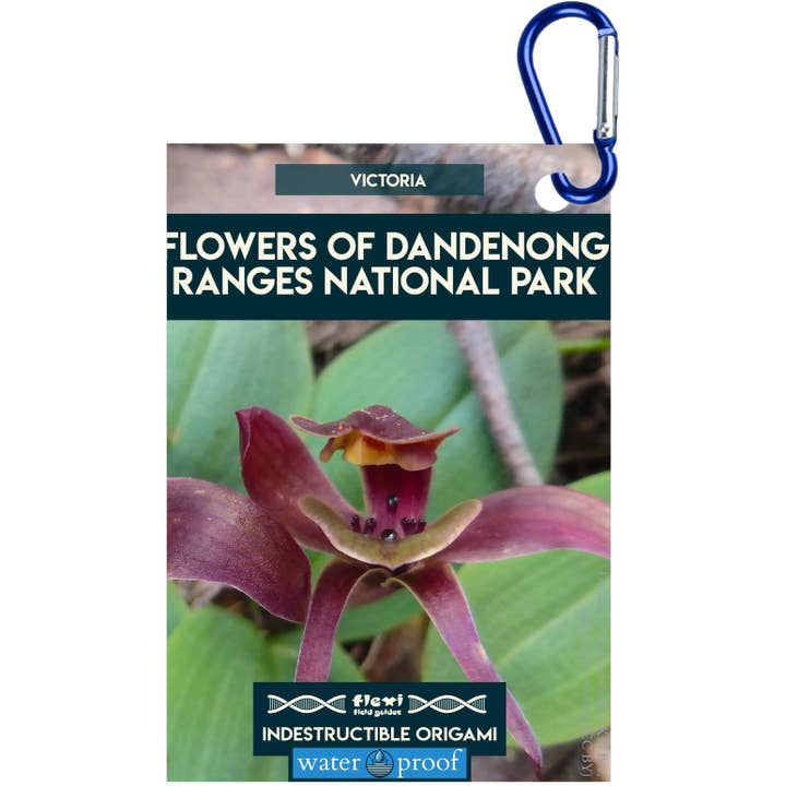 Blomster fra Dandenong Ranges NP-Uforgængelig Origami for engroshandel hos Flexi Field Guides
