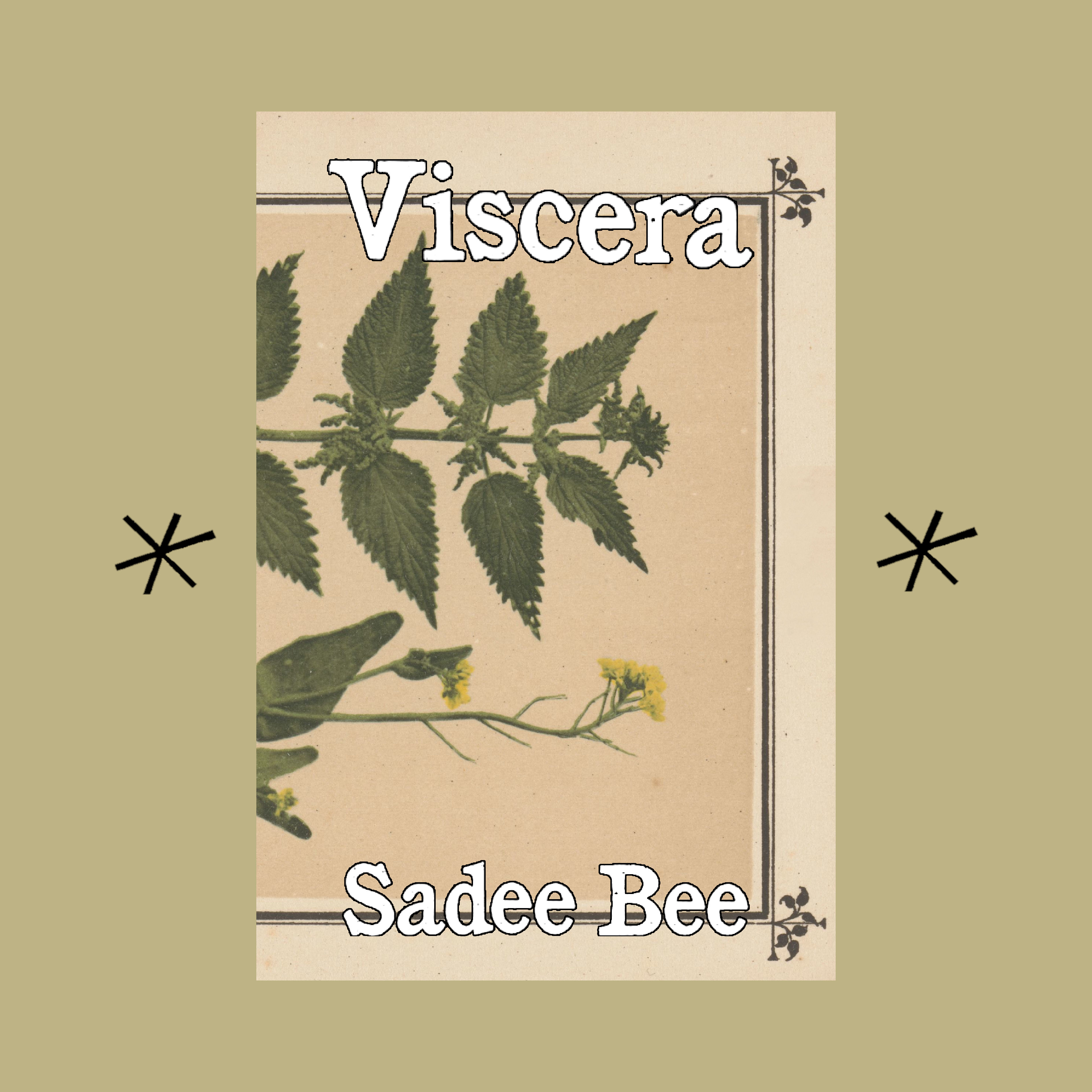 Bottlecap Press - Wholesale Poetry & Drama - Viscera, by Sadee Bee0