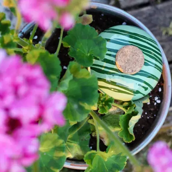 Poterie lutton - Vente Arrosoirs - Ollas Galet 15 cl – Arrosage autonome et stylé15