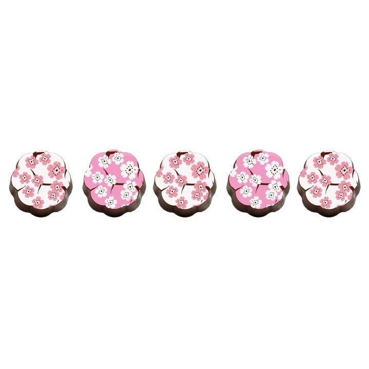 Chouquette - Wholesale Chocolate Box - Cherry Blossom Chocolates - Box of 5
