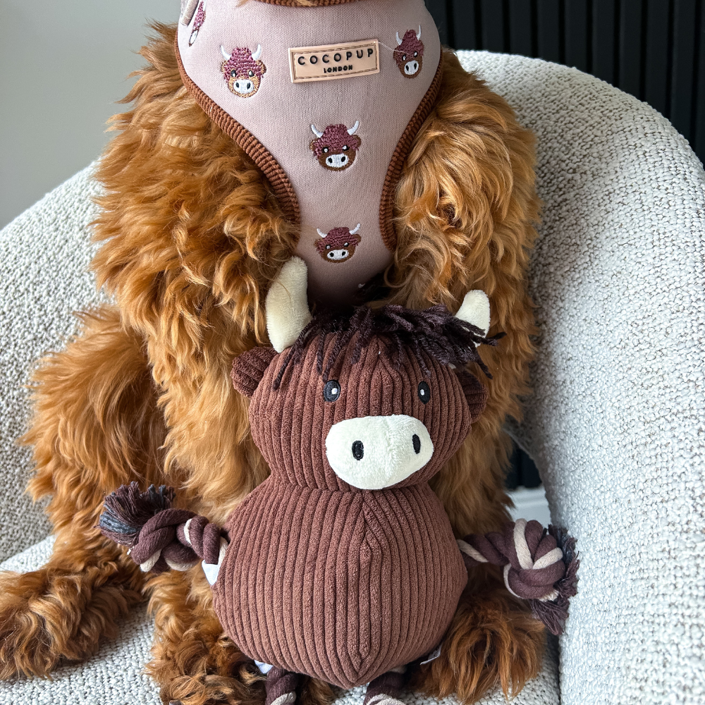 Cocopup London - Wholesale Pet Harness - Dog - Harold the Highland Cow Adjustable Neck HARNESS35