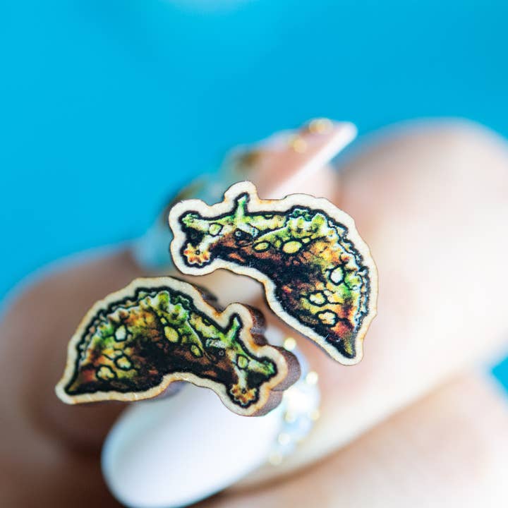 Goujons en bois Sea Hare Seaslug, goujons écologiques en titane pour la vente par The Slug And Kraken