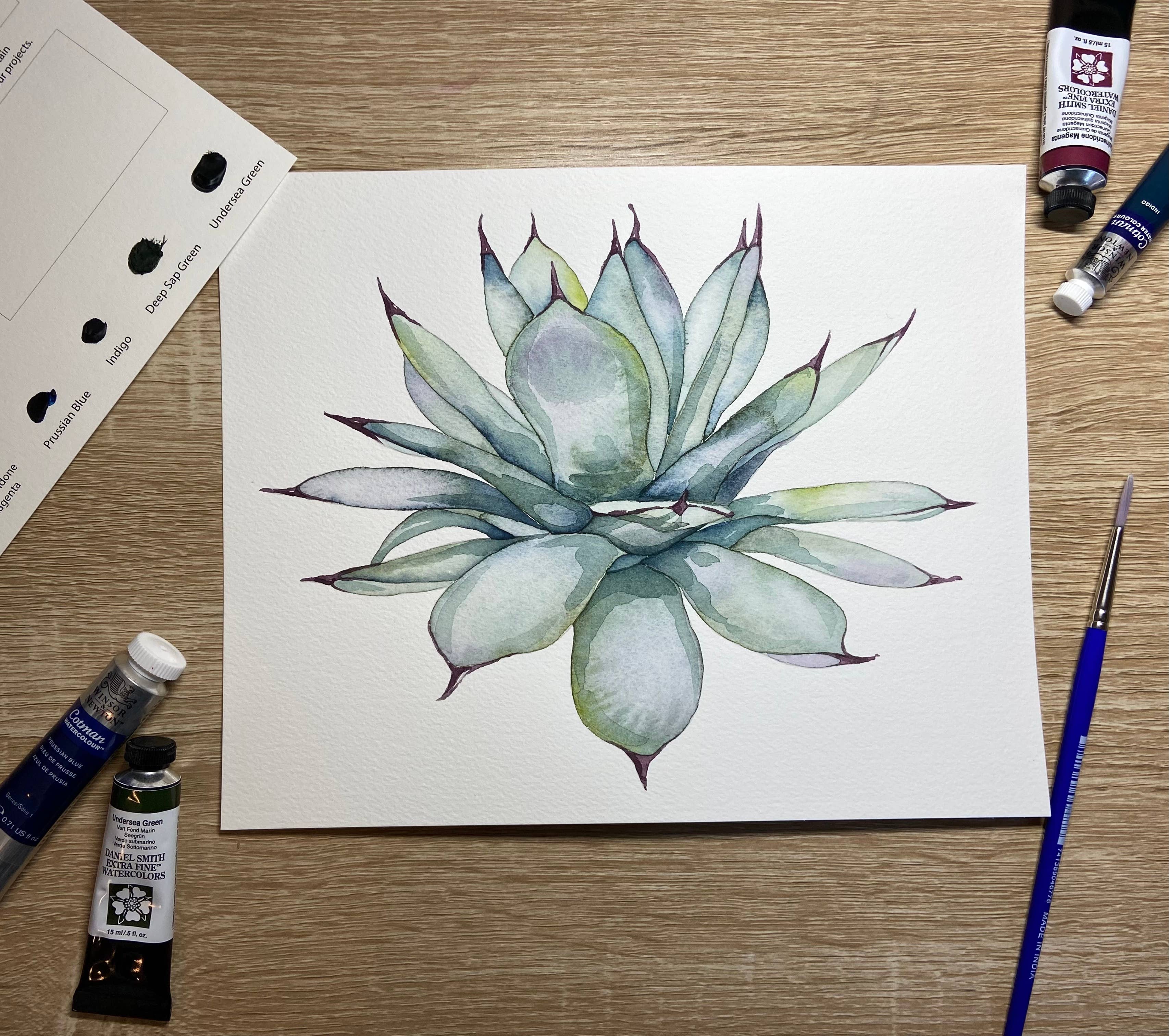 Emily Marie Watercolors - Wholesale DIY Craft Kit - Watercolor Painting Kit: Jewel-Toned Botanicals6