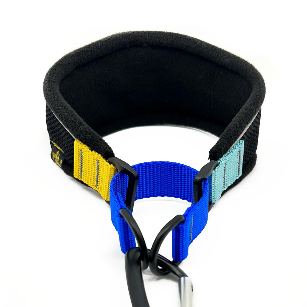 Gold Paw Series – Engroshandel Halsbånd - Hund – Letvægts halsbånd i martingale-stil til sarte hunde2