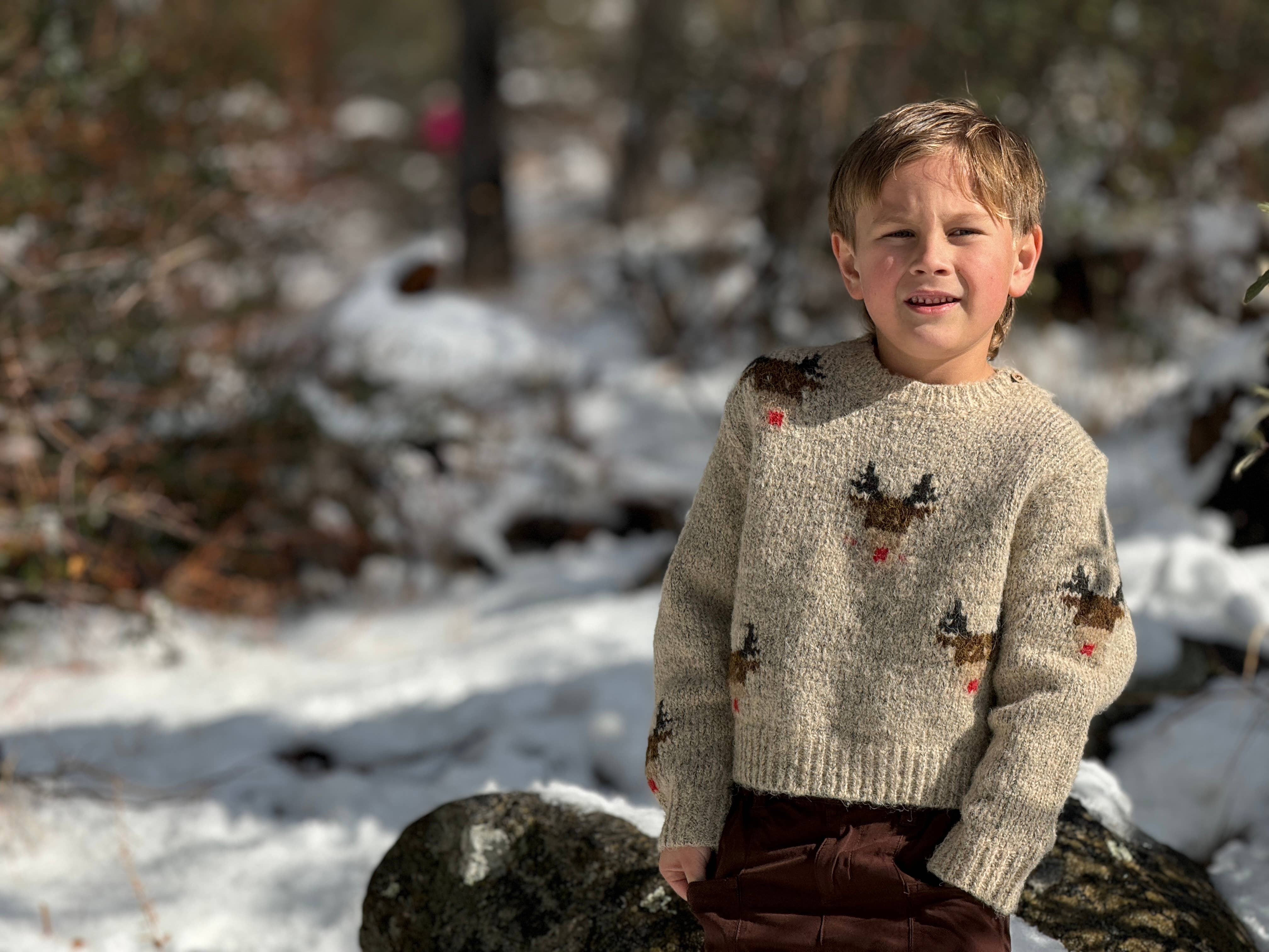 RUDY Sweater Beige reindeer for wholesale on Faire2