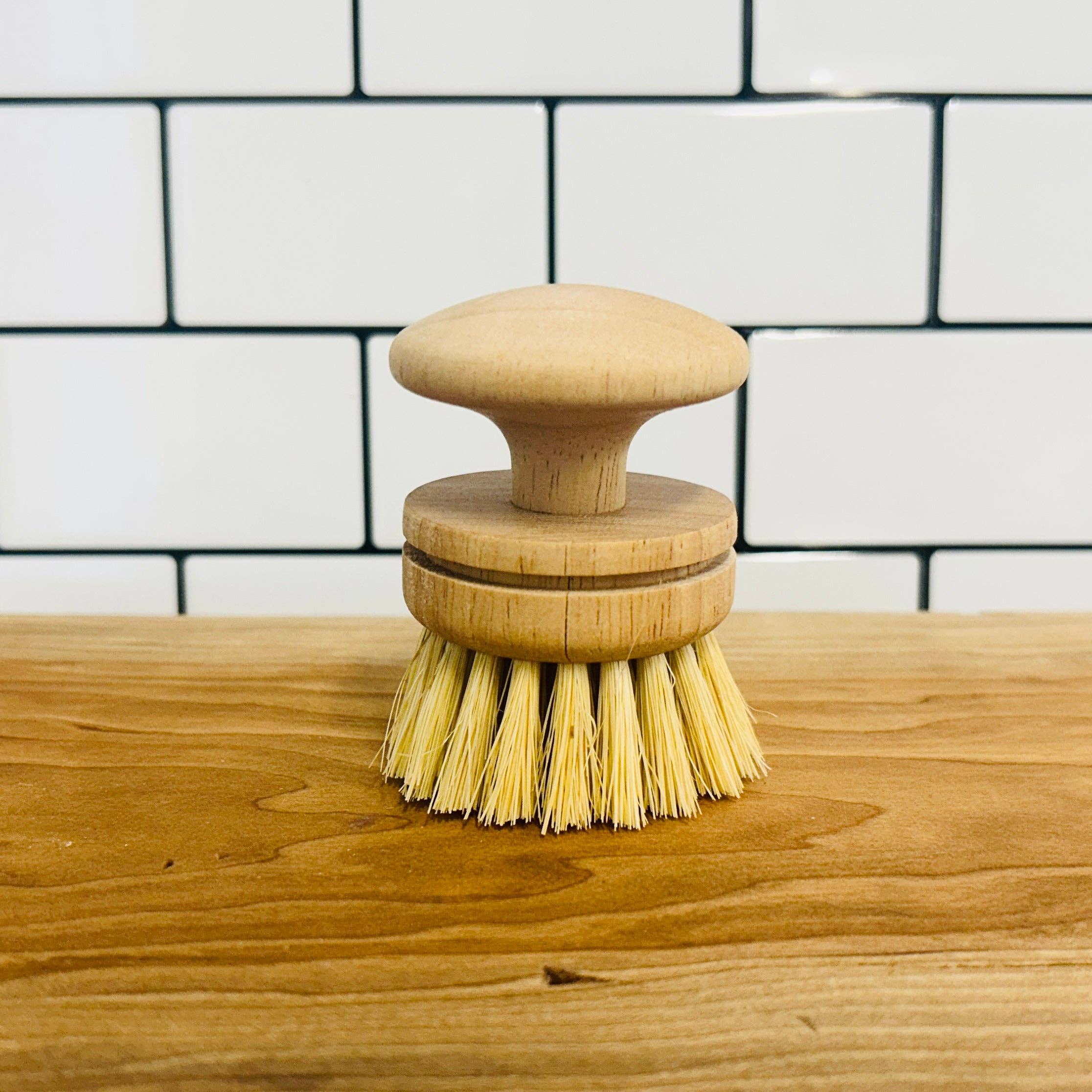 Town & Earth - Wholesale Cleaning Brush - Dish Brush with Handle | Replaceable Head | Kitchen & Dishes1