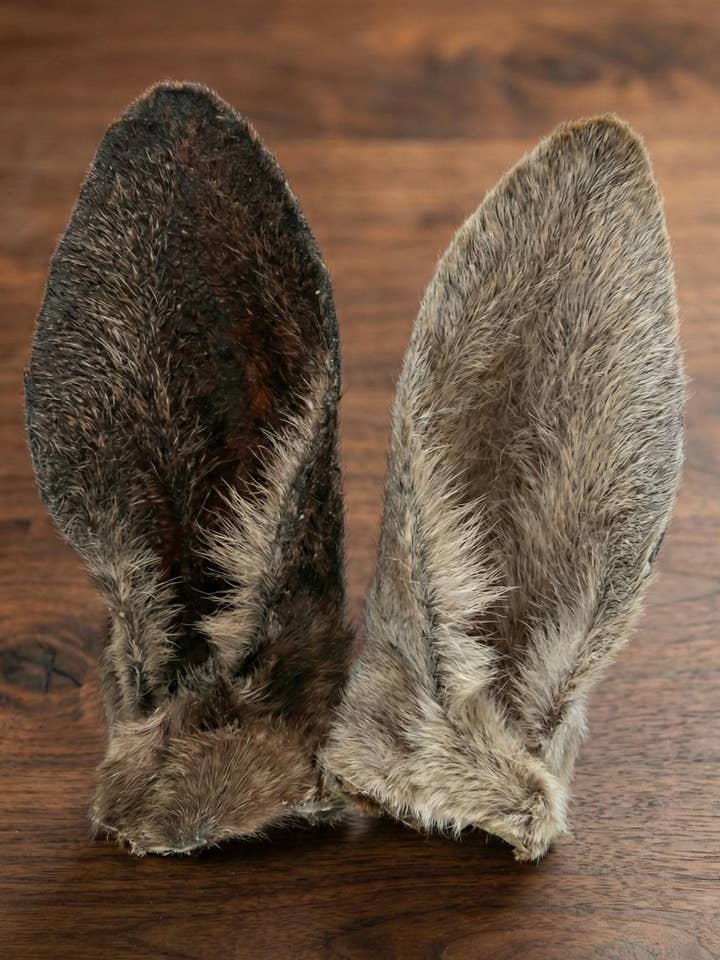 Kangoeroe-oortraktaties voor honden voor wholesale door Bone Appetito