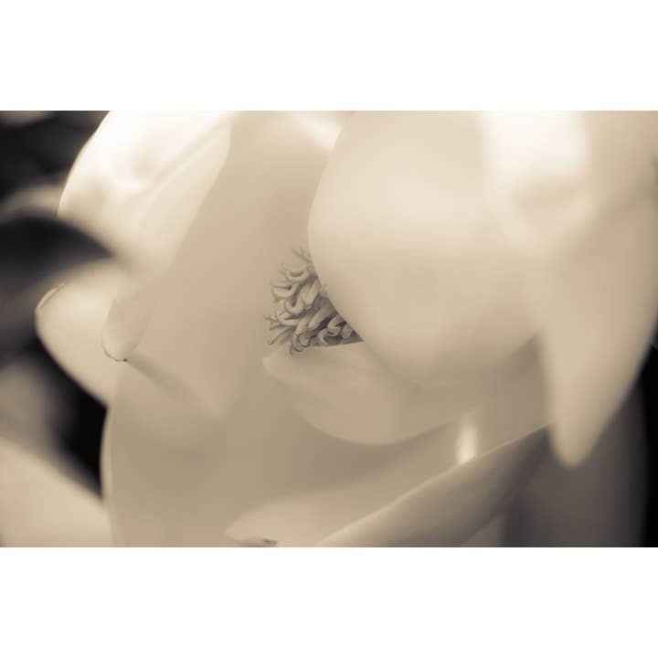 The Light of Love Fine Art Print for wholesale by Christi Kraft Photography