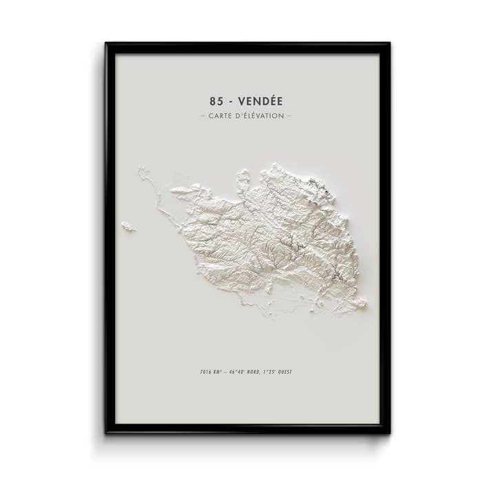 Mappa altimetrica della Vandea per la vendita all'ingrosso da parte di Finke