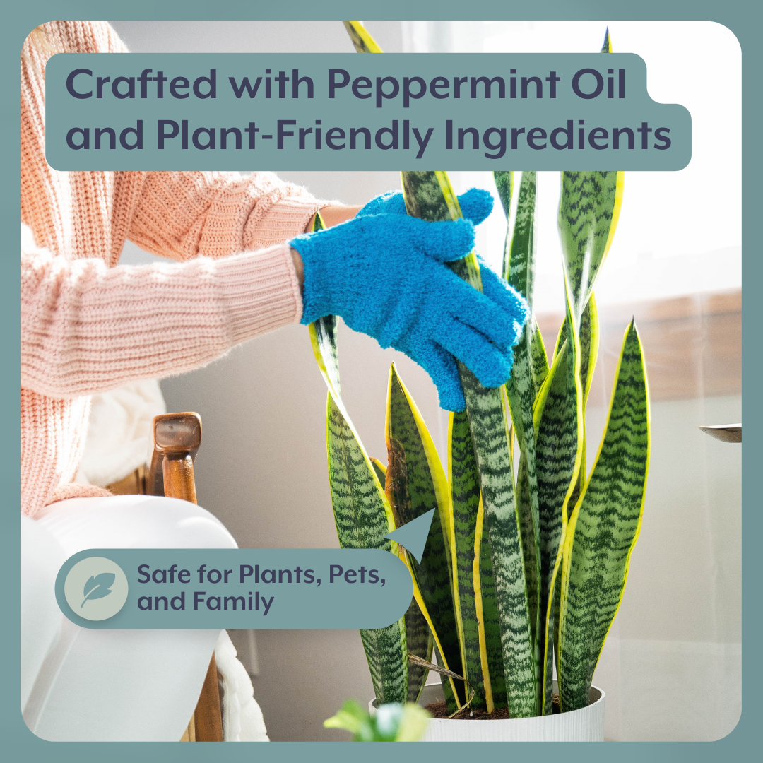 Instant Plant Food - Wholesale Fertilizer - Natural Houseplant Pest Control - Peppermint Leaf Spray5