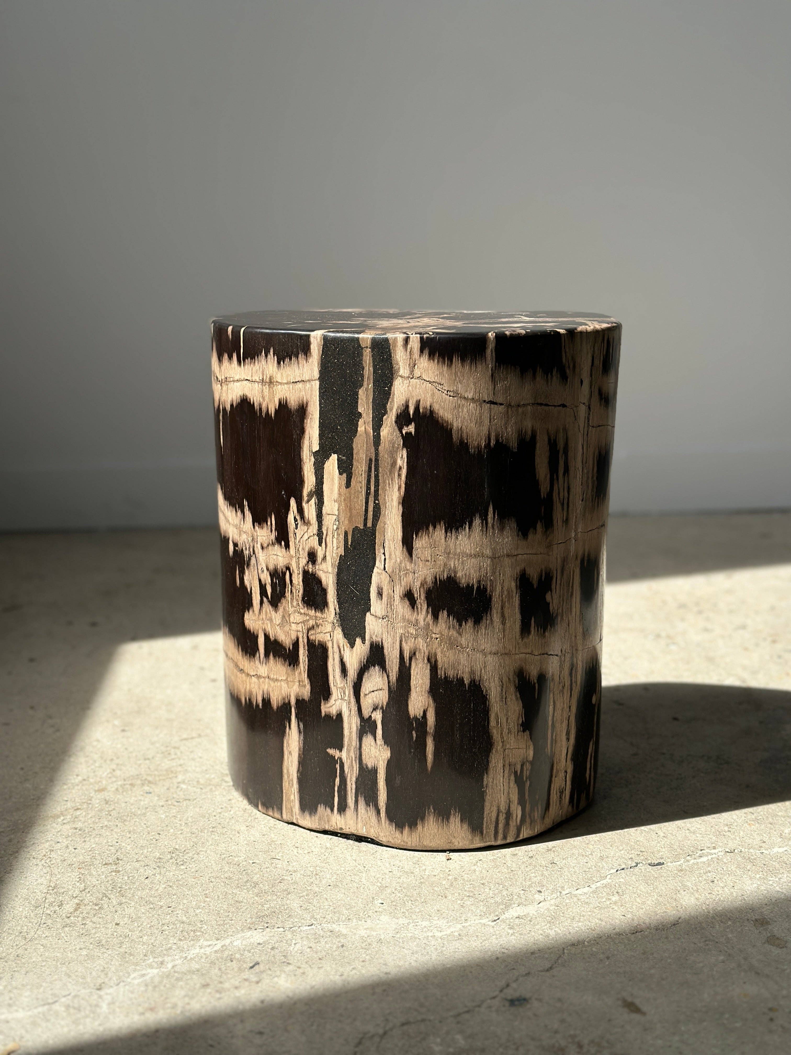 Office Objets - Vente Tables d'appoint - Table d'appoint en bois pétrifié31