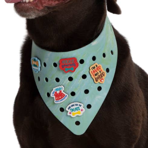 Charmdana, bandana léger, mousse de mer, pour chien en caoutchouc, avec breloques ! pour la vente par Wag Around Town
