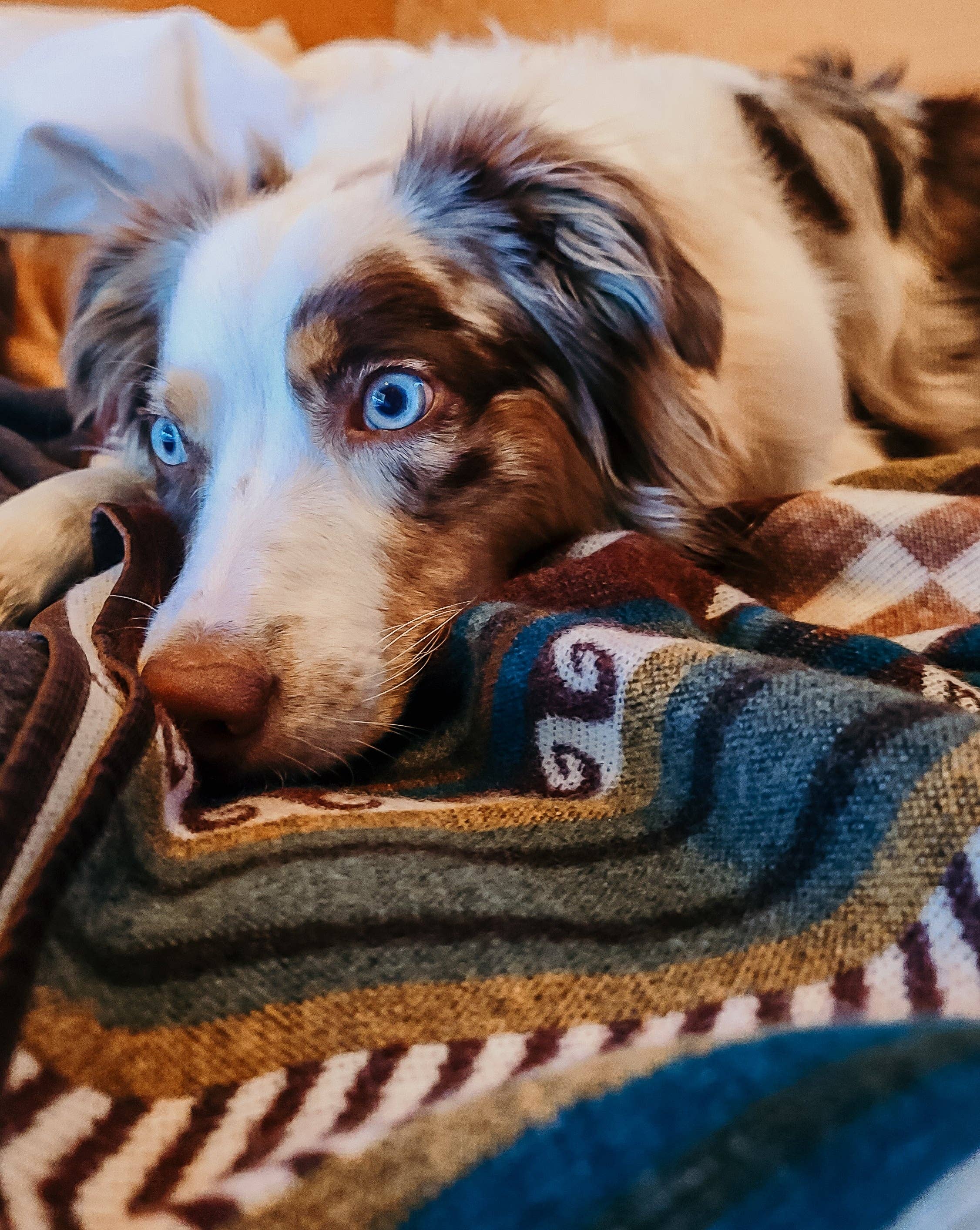 Wylde Brigade – Manta para sofá por atacado – Manta Reversível Azteca Cayambe10