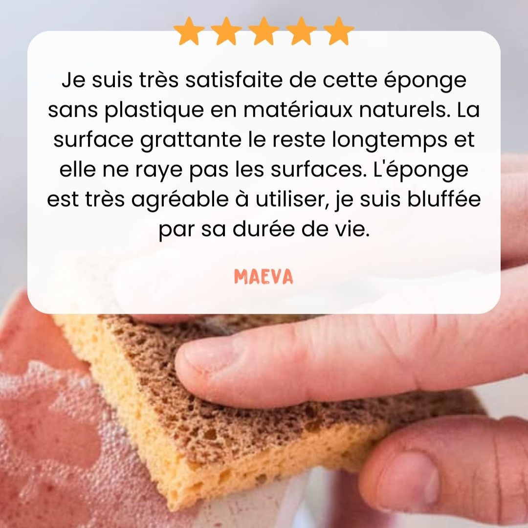 PIMPANT - Wholesale Cleaning Sponge - 100% Recyclable Scrubbing Sponge - Set of 22