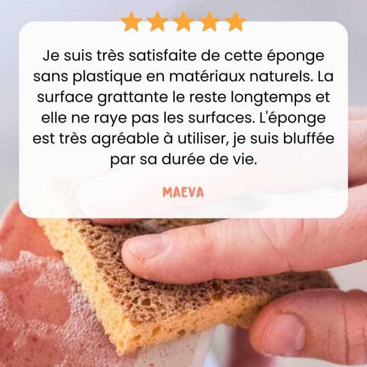 PIMPANT - Vente Éponges de nettoyage - Éponge Grattante 100% recyclable - Lot de 22