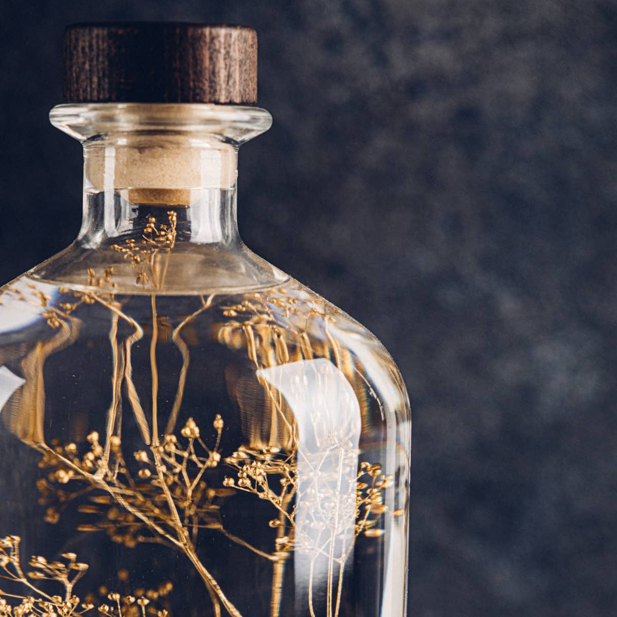 Theophile Berthon – Großhandel Pflanzen – Das Herbarium Schleierkraut Gold - XL-Glas - eingetauchte Pflanze9