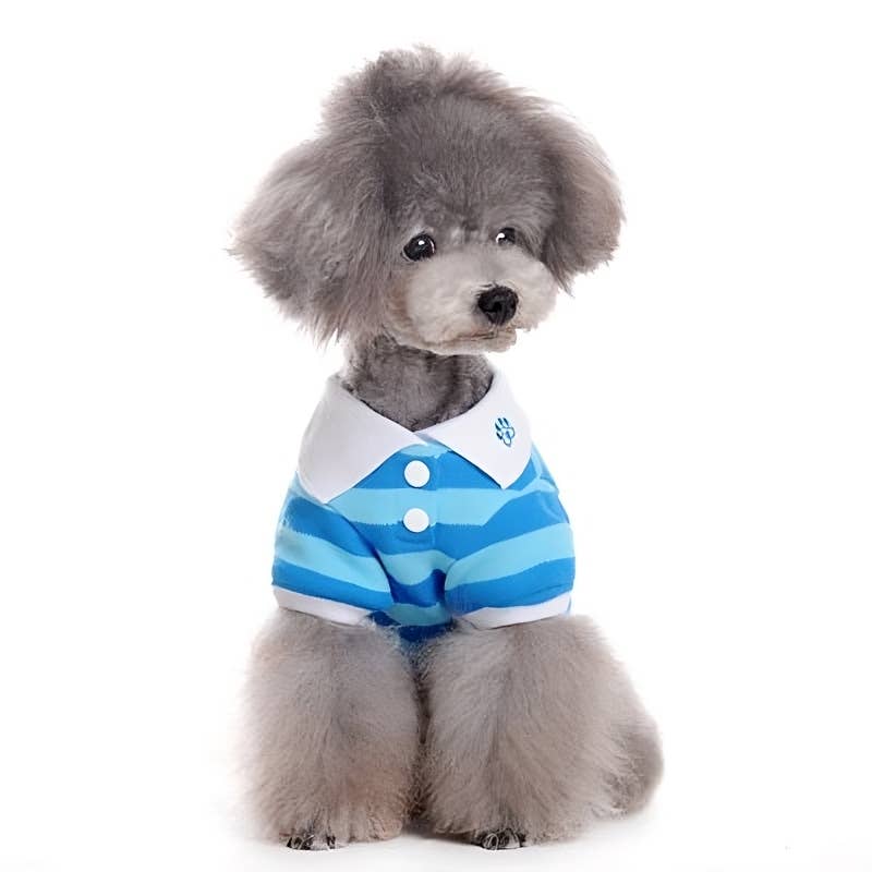 Dogo Pet - Wholesale Pet Shirt - Dog - PP Stripe Polo Shirt9