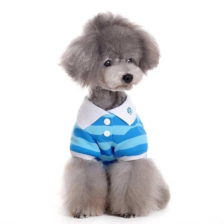 Dogo Pet - Wholesale Pet Shirt - Dog - PP Stripe Polo Shirt9