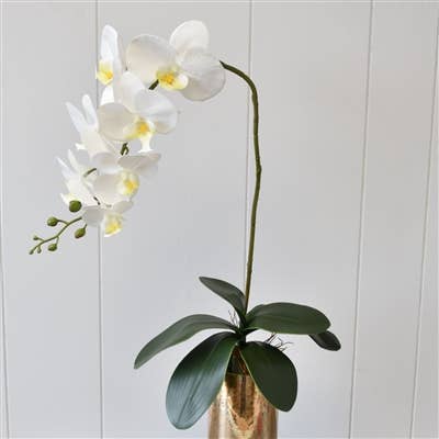 David Christopher's Collection - Wholesale Artificial Flowers - 33” Phalaenopsis Spray2