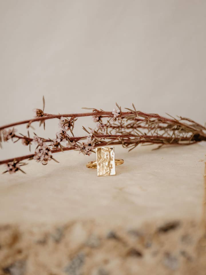 Capricorn Ring for wholesale by Luna & Sol