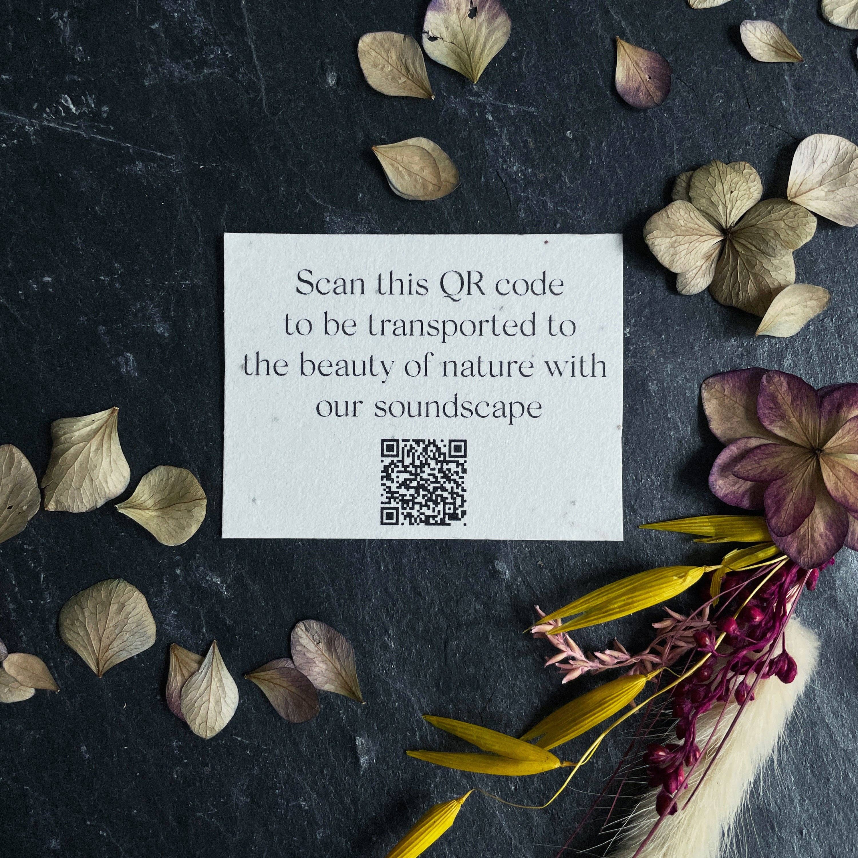 The Home Moment Candles Ltd - Wholesale Jar/Filled Candle - Amber | Guaiac wood & Amber Fragranced Candle1