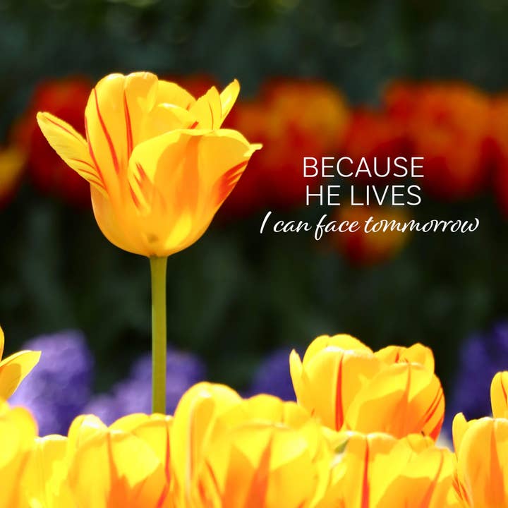 Because He Lives, Pack of 5 Religious Easter Cards for wholesale by Just Cards Direct