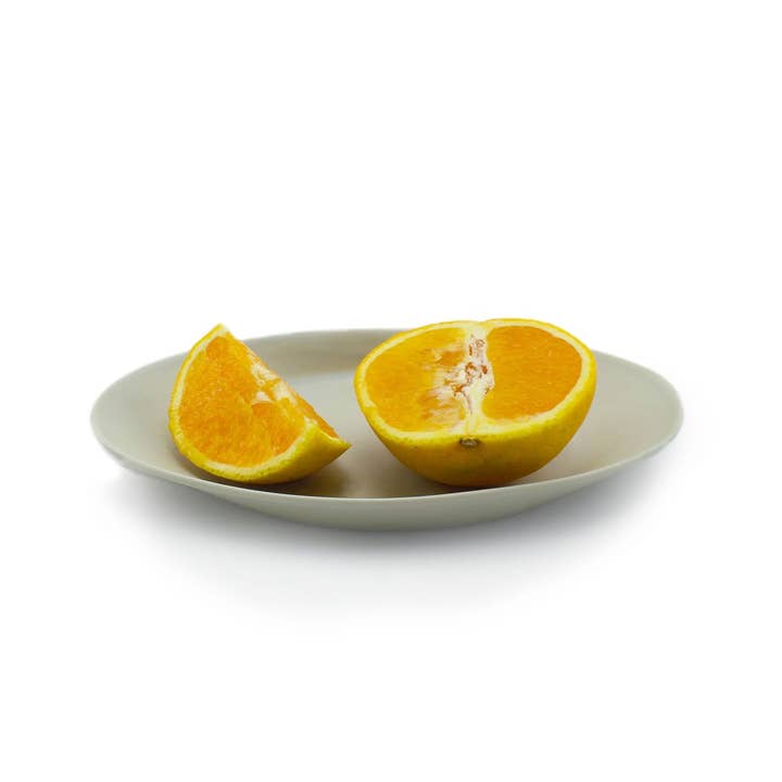 Bandeja Catchall para venta al por mayor de The Bright Angle