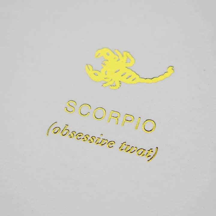 Cardsome – Großhandel Grußkarten für den Alltag – Sternzeichenkarte Skorpion (obsessive Möse), A6
1