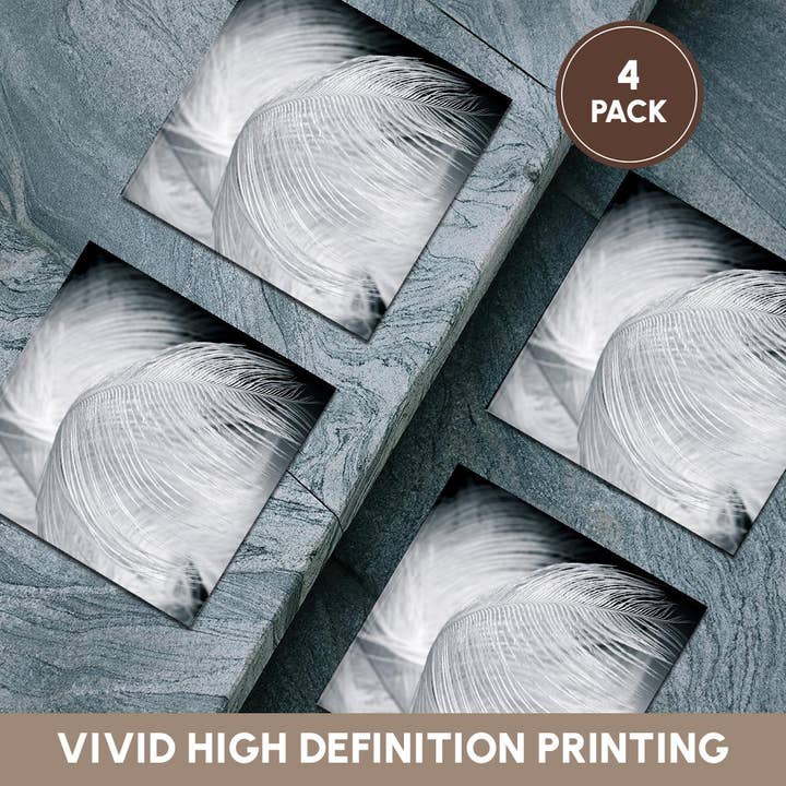 3dRose - Wholesale Coasters - 3dRose, Ostrich feathers in black and white, Coaster5