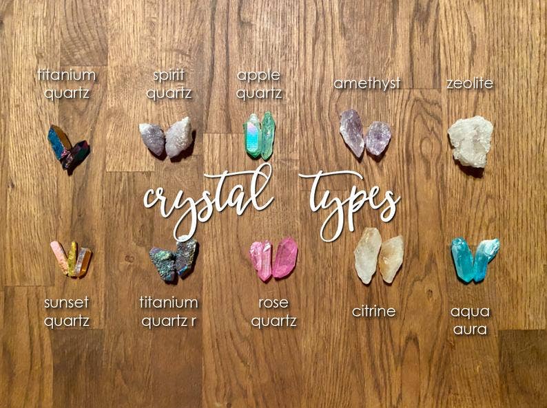 Faux Theory Design – wholesale Wall Accent – Moth and Beetle Garland8