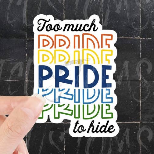 Trop de fierté pour être cachée, arc-en-ciel, fierté LGBTQ+ pour la vente par BLT Customs