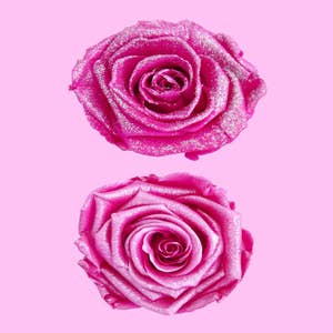Wholesale Supplies – forever roses store
