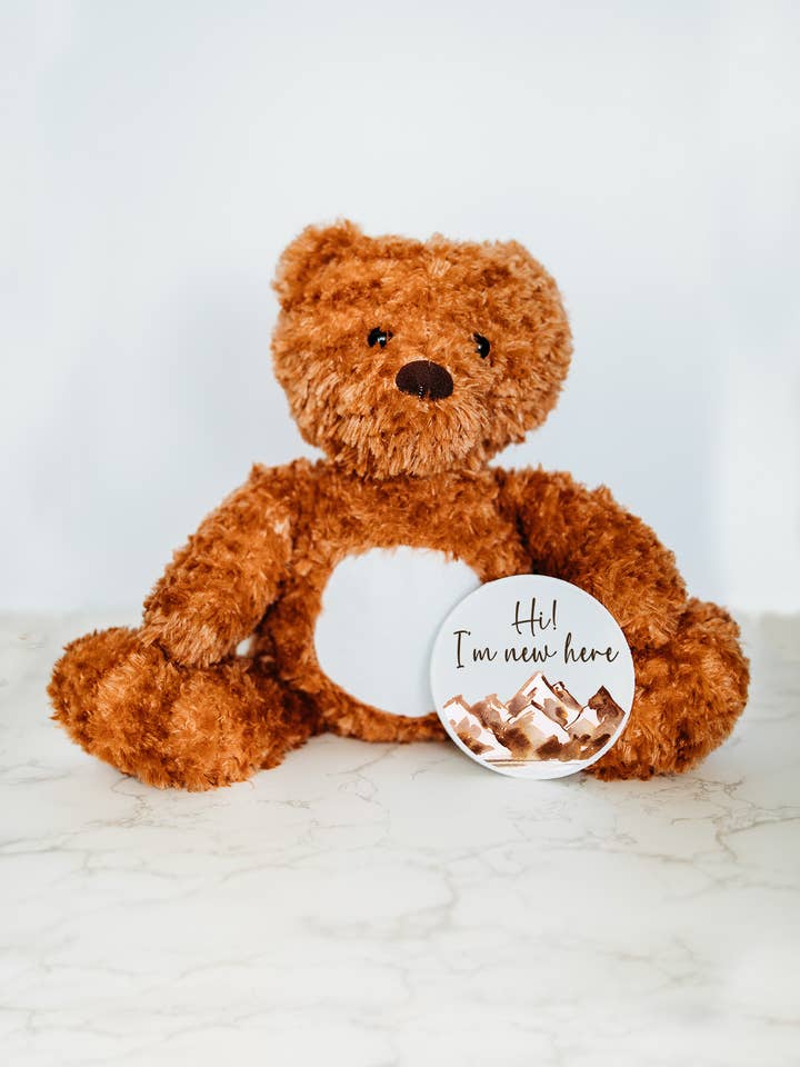 Monthly Milestone Discs, Bear Stuffed Animal for wholesale by Grow With Me Baby Co