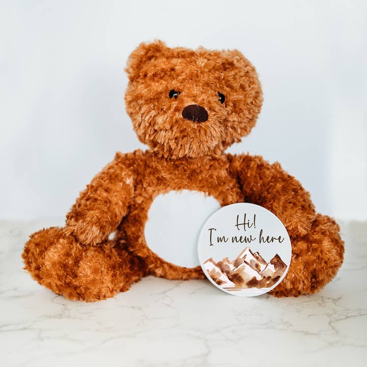Grow With Me Baby Co - Wholesale Stuffed/Plush Toy - Kids & Baby - Monthly Milestone Discs, Bear Stuffed Animal0