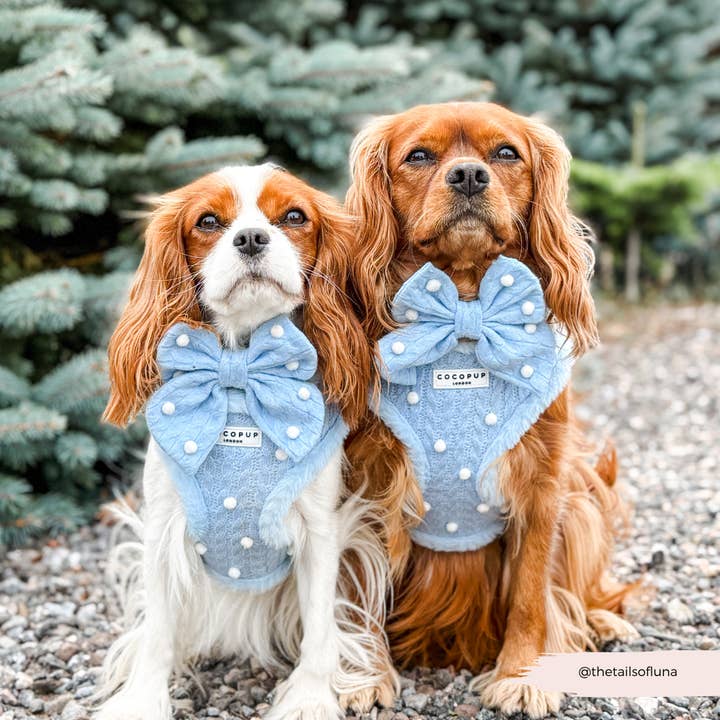 Cocopup London - Wholesale Pet bow tie – Dog - Snowpaws Sailor Bow Tie3