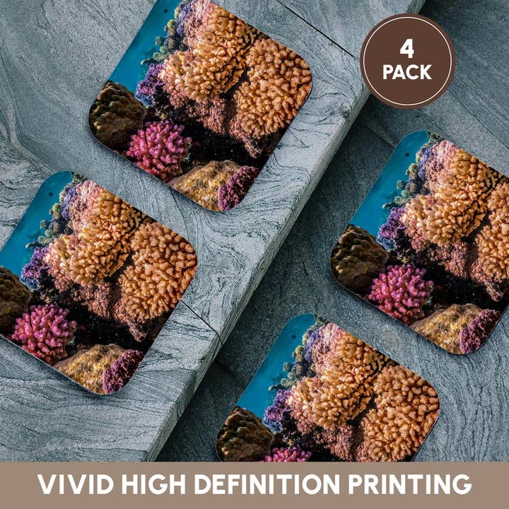 3dRose - Wholesale Coasters - 3dRose, French Polynesia, Bora Bora. Closeup coral garden., Coaster12