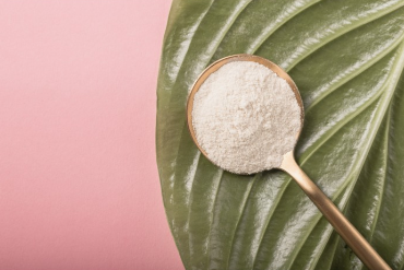 HECOSFAIR - Wholesale Protein/Superfood Powder - Organic agar agar in pure powder from France - 400g0