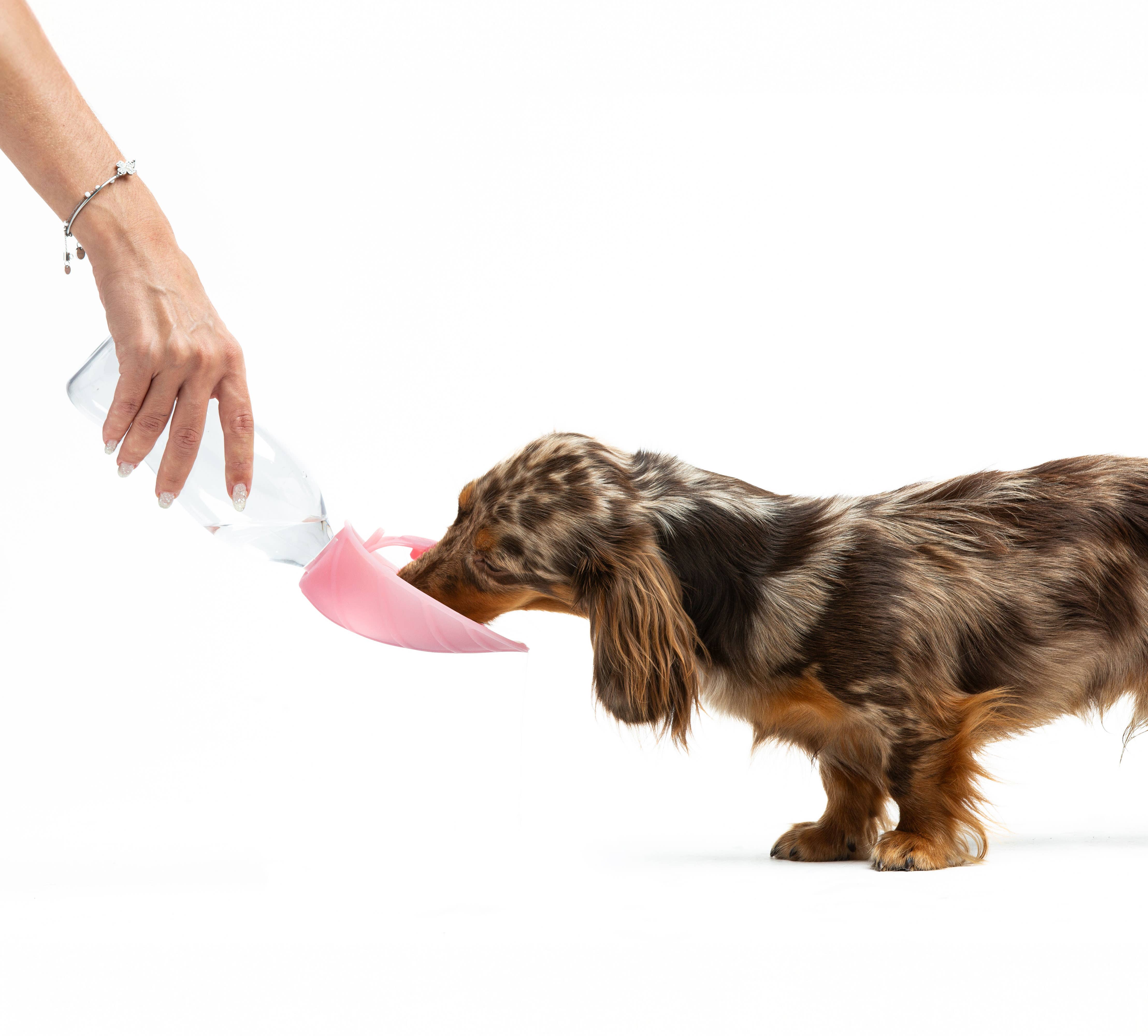 United Pets - Wholesale Water Bottle - Universal water dispenser with anti-drip valve2