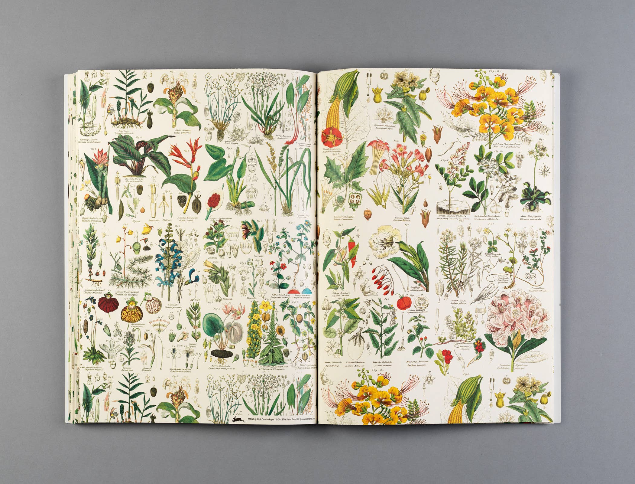 Pepin Press – wholesale Flat wrap – Flora Gift & Creative Paper Book Vol. 853