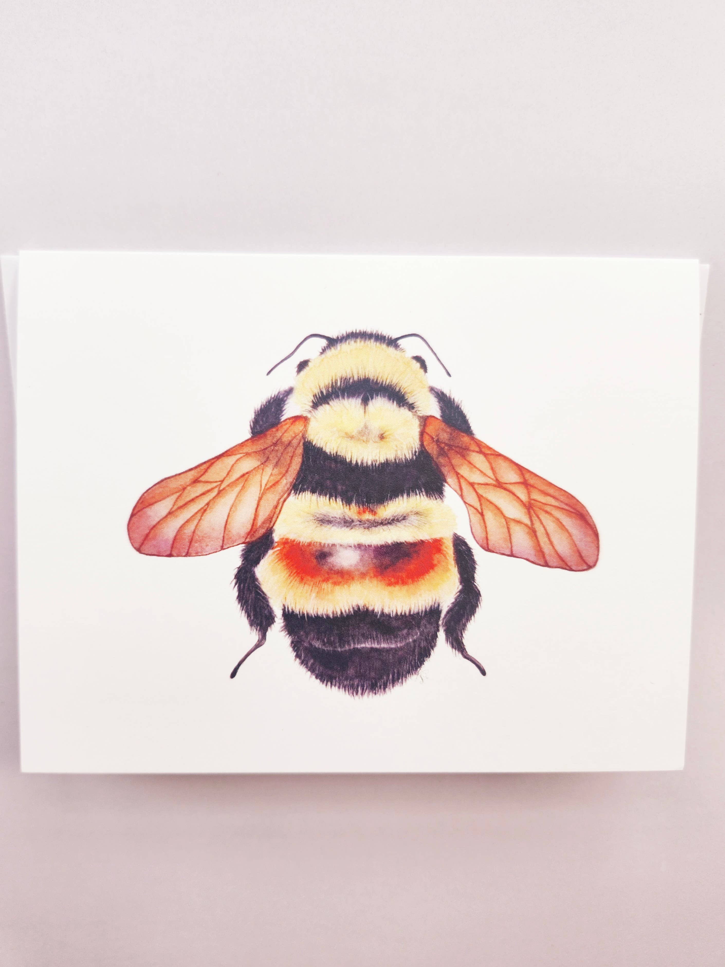 Redbriar Studio - Wholesale Stationery/Notecard Set - Notecards3