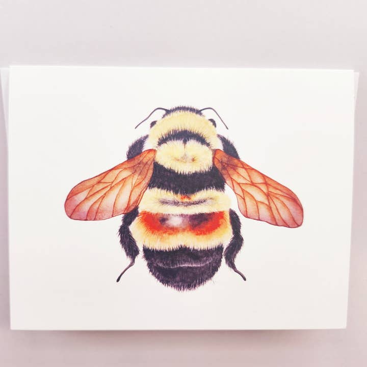 Redbriar Studio - Wholesale Stationery/Notecard Set - Notecards3