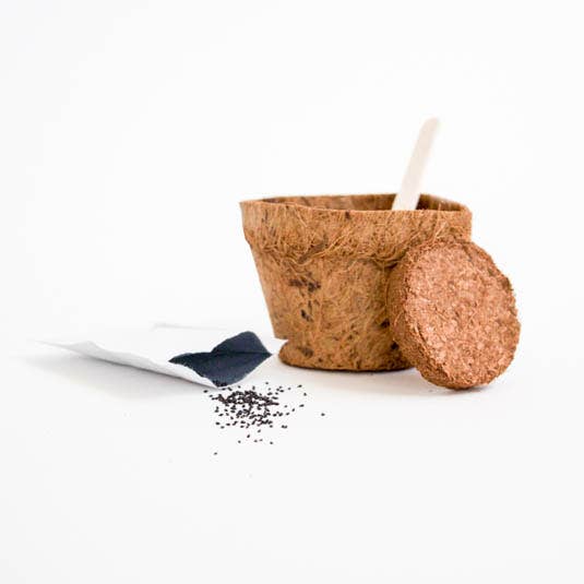 Gift Republic - Wholesale Plant Seeds - Be Happy1