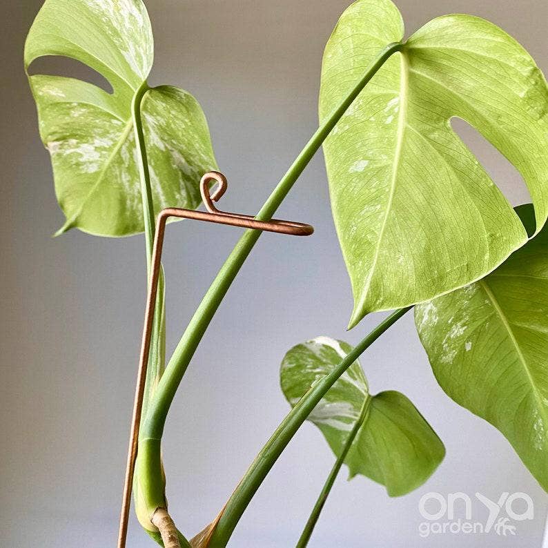 On Ya Garden - Wholesale Garden/Lawn Stake - Copper Swizzle Decorative Plant Stick0