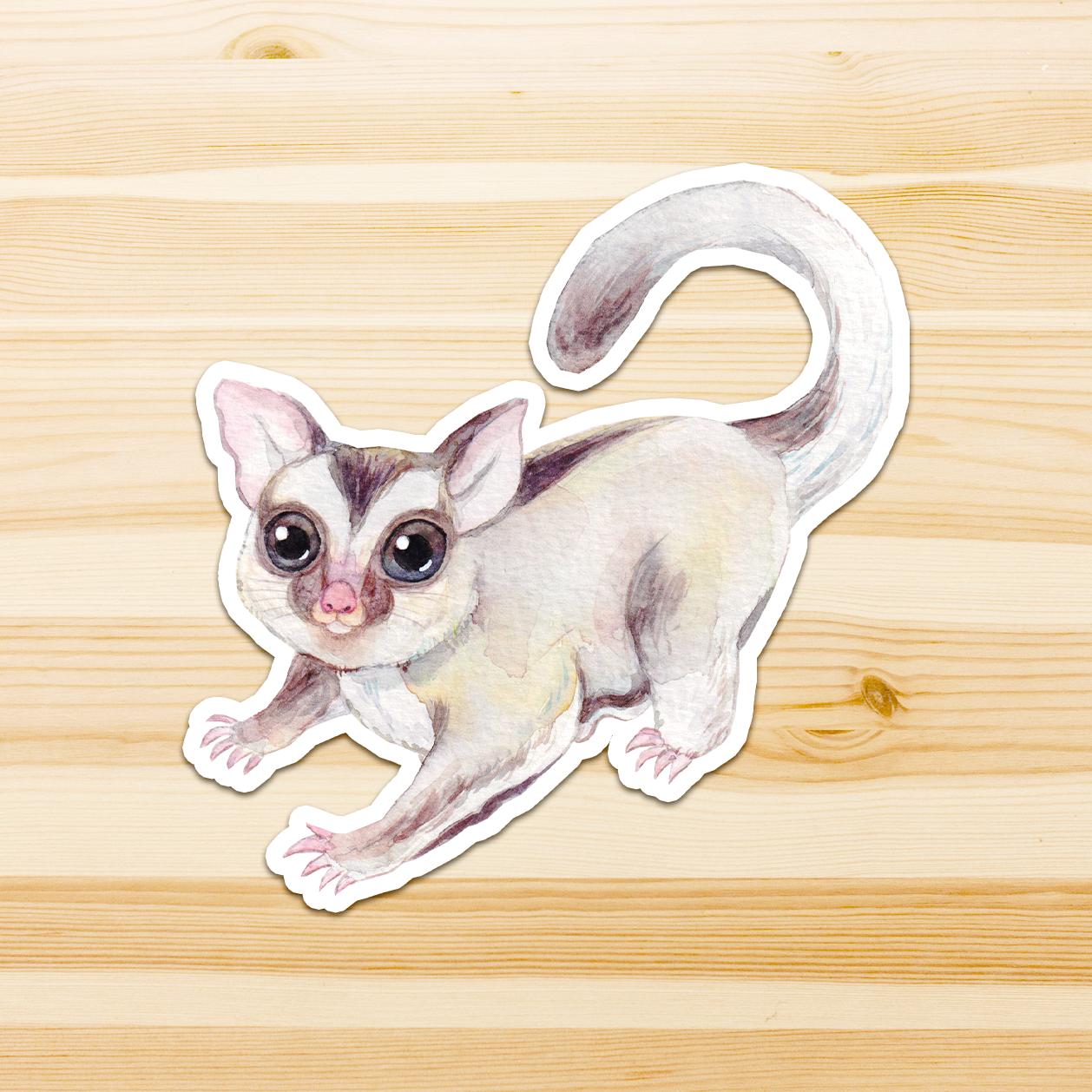 Watercolour By Cat - Wholesale Sticker - Large Australian Animal Vinyl Sticker24