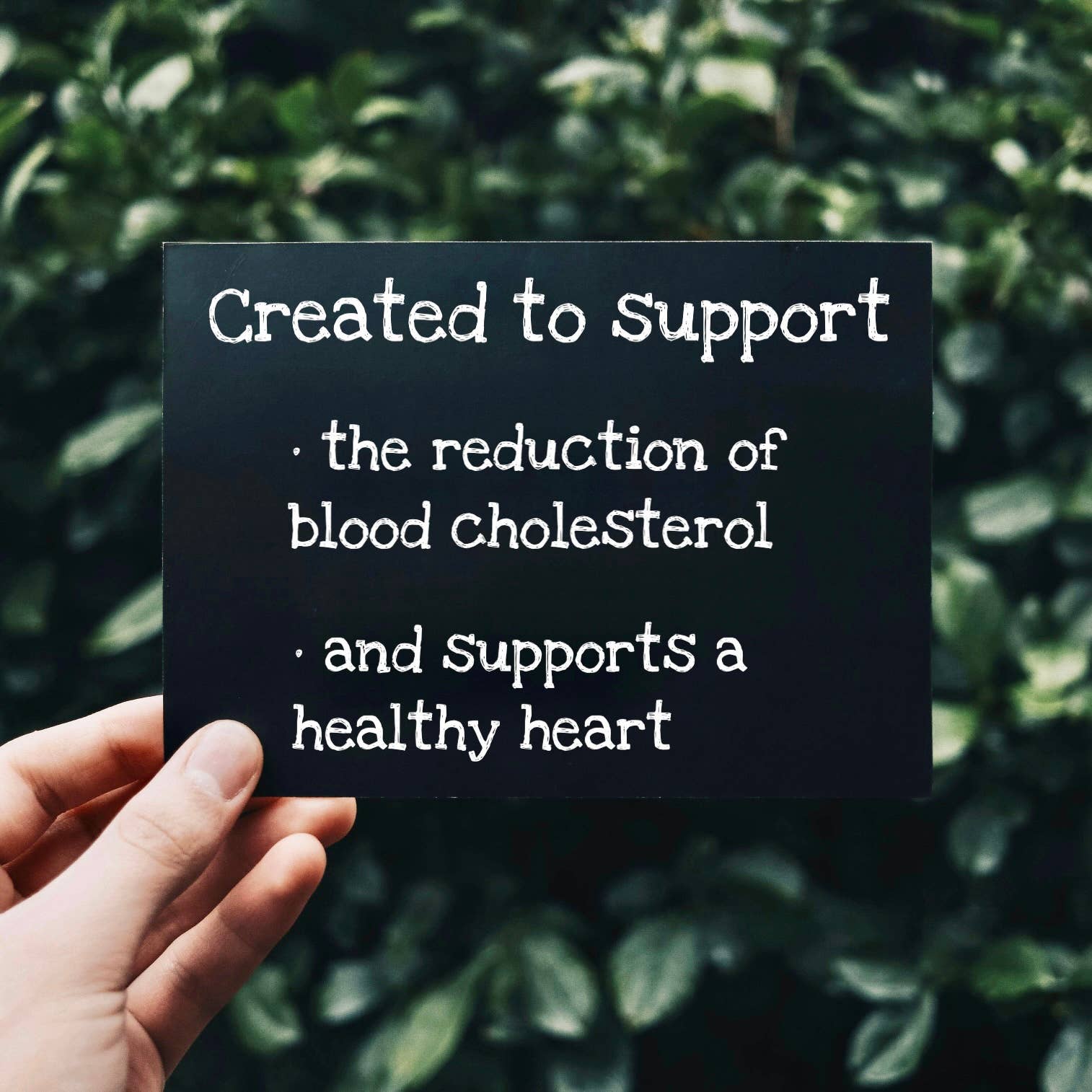 Your UnbelievaBowl – wholesale Breakfast cereal – Organic Super Porridge4