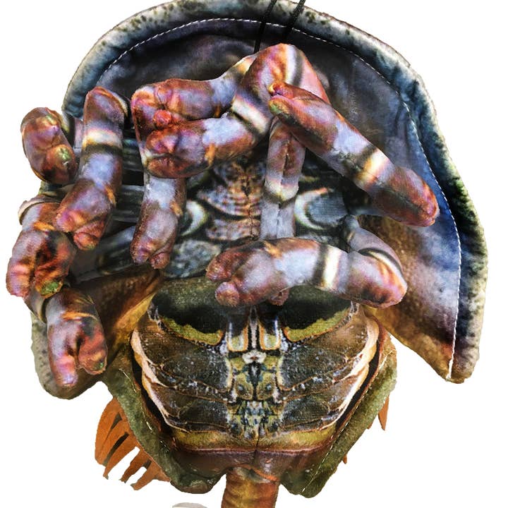 Texas Toy Distribution - Wholesale Stuffed/Plush Toy - Kids & Baby - Horseshoe Crab 17.75" Plush Stuffed Animal2